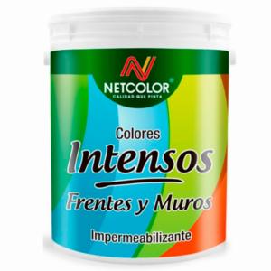 NetColor Látex Exterior Frentes y Muros...